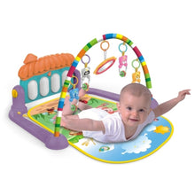 Load image into Gallery viewer, Baby Activity Gym